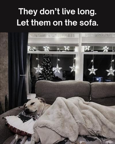 FB_IMG_1739214610122