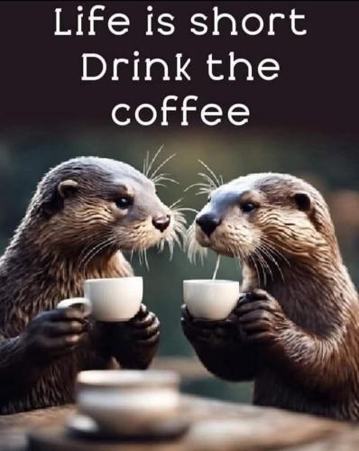 FB_IMG_1740696607974