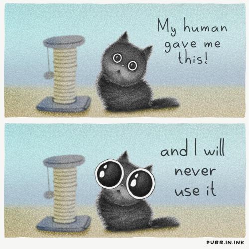 20250218_141137