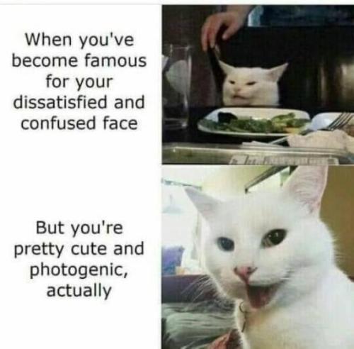 d7c93552115f0a9e717ddec1361b94e5