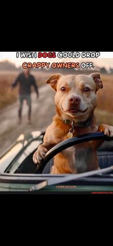 Screenshot_20250202_181533_Gallery