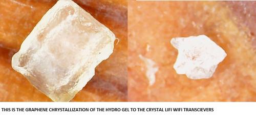 GLAND CRYSTALS