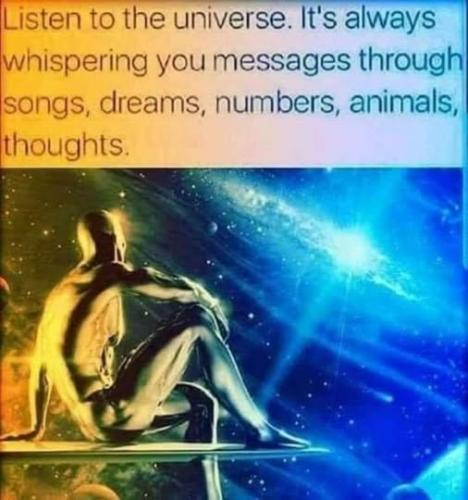 ,      545159_51961123140246