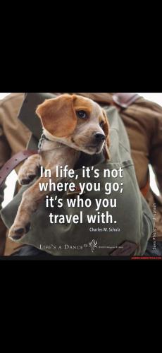 Screenshot_20250202_181508_Gallery