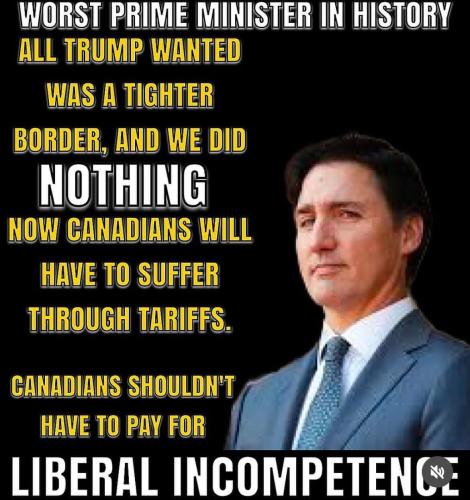 liberal incompetence