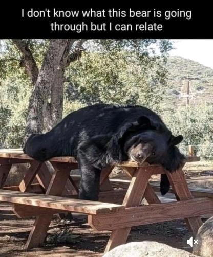 Screenshot_20250205_233235_TikTok