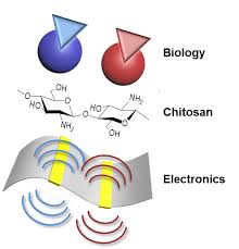 CHIT ELEC