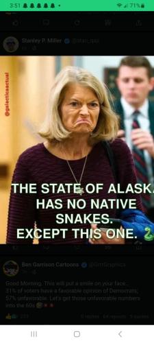 Screenshot_20250131_155152_Samsung Internet