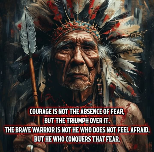 Screenshot_20250201-083649