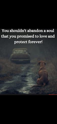 Screenshot_20250202_154719_Gallery