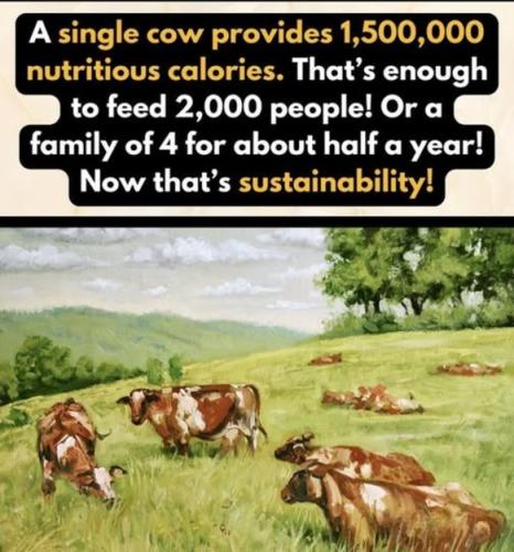 Sustainability