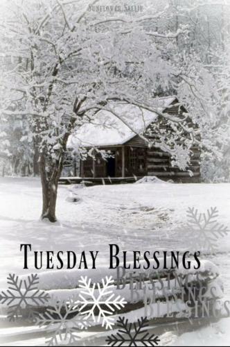 morning winter tuesday 1