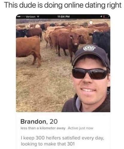 image_FFE4690F-07D2-479B-9669-A4C11D19AB2F