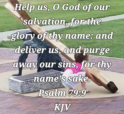 75768670-0b1c-4b63-8bc9-4d2c069204a4