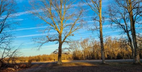 Screenshot_20250202_075805_Gallery