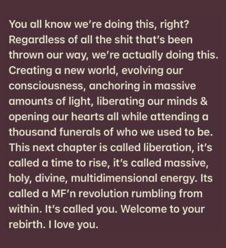 IMG_20250225_121435_778