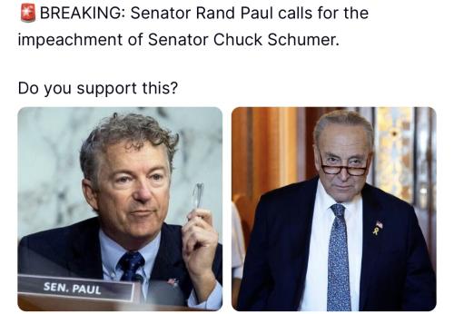 Schumer 1