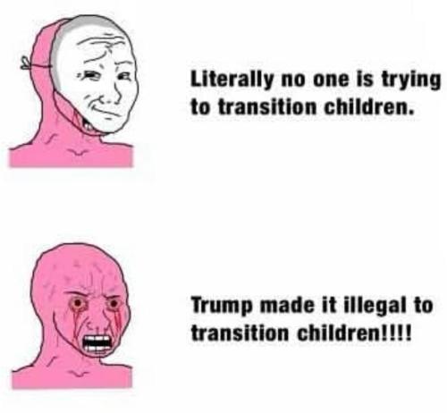 photo_2025-02-05_18-59-18