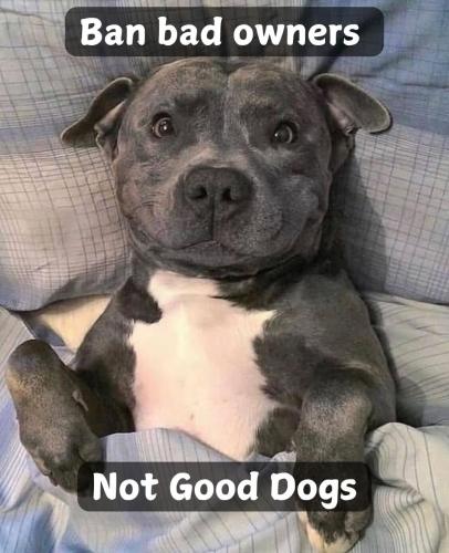 FB_IMG_1739580764994