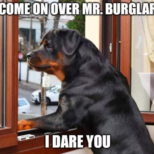 FB_IMG_1740695993016