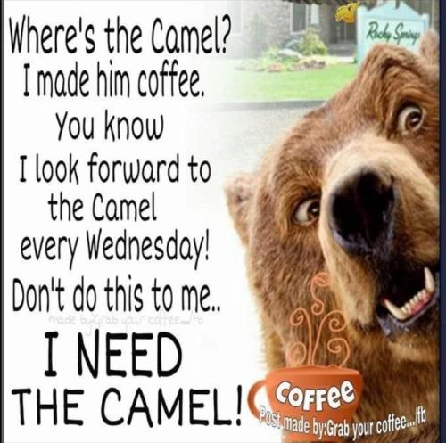 Screenshot_20250211_153507_Gallery