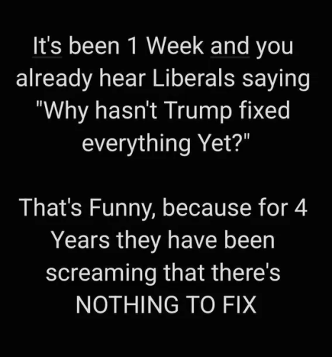 image_2025-02-03_062645853