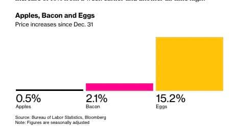 FB_IMG_1740242113603