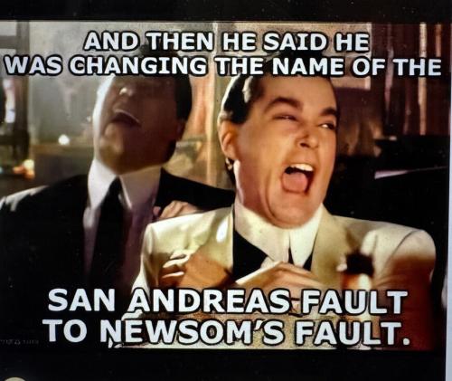 Newsom's Fault