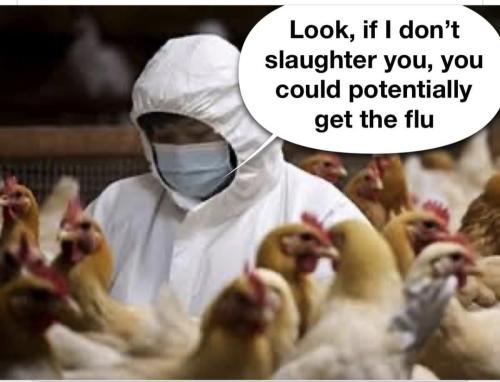 Screenshot_20250214_061202_Facebook