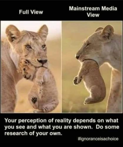 473622875_1019540243553147_8820478406450865265_n