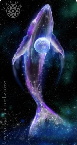 ,       ,        423193798_7468111