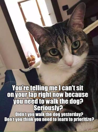 508d43411823bad2d0c66740205c8df5