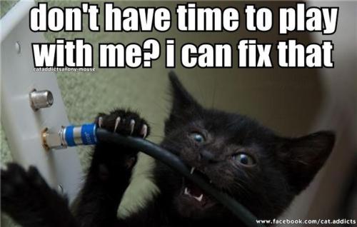 6c7de837cce2f7aeb64b258780867c59