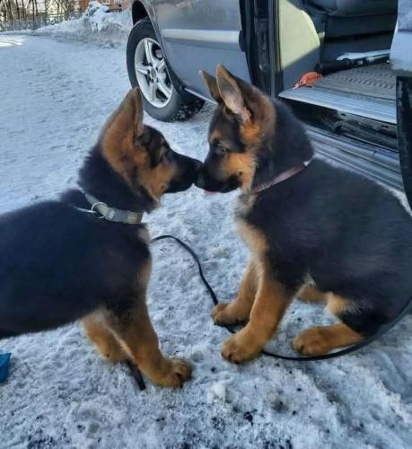 FB_IMG_1739911939476