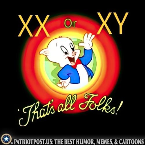 01JM3W952NVZD6Z11JP18PPZZA