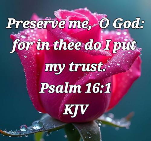 2488e40d-fe1c-408e-b0b5-8d9247e02ad0