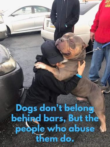 FB_IMG_1739366638161