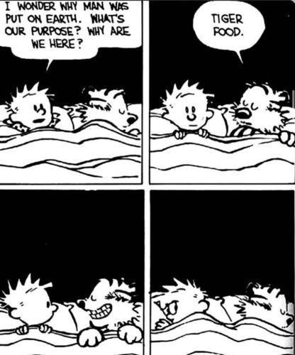 4b7feb87-386b-4783-8614-9a35cf37944c