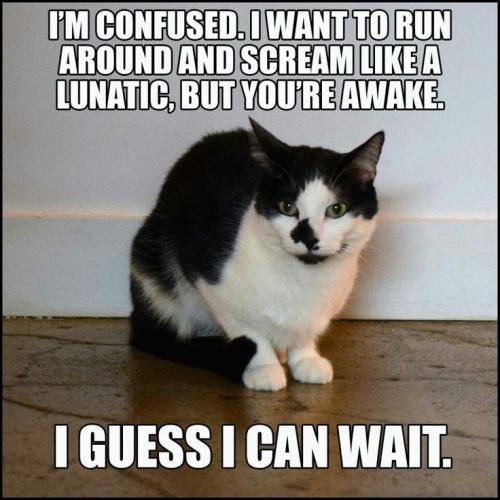 37b3a176f73ab54398be5b0f84f86241