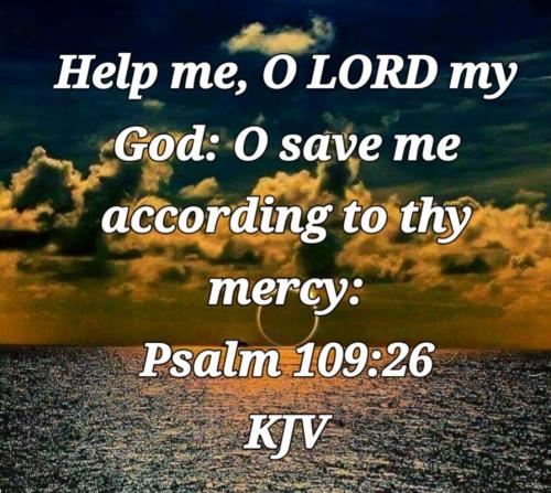 b14252d0-4ffe-447d-b964-42e7993e9a49