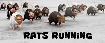 image_2025-02-14_061017648