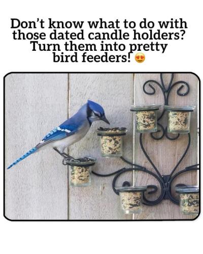 C9C81182-AF4D-4A44-AA04-D195096B625C