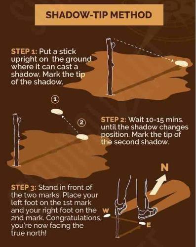 BA8E810E-AC0D-475C-8EB4-DF22809A1E14