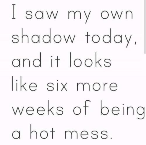 FB_IMG_1738593829889