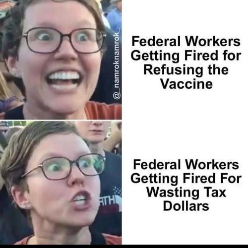 photo_2025-02-08_23-37-06