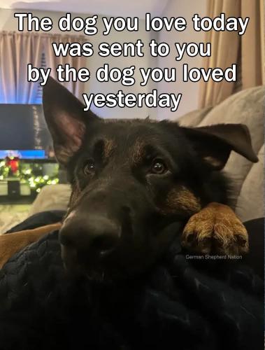 FB_IMG_1739788881752