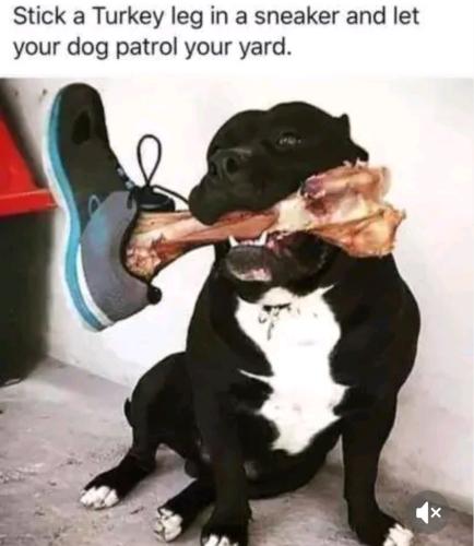 Screenshot_20250205_232824_TikTok