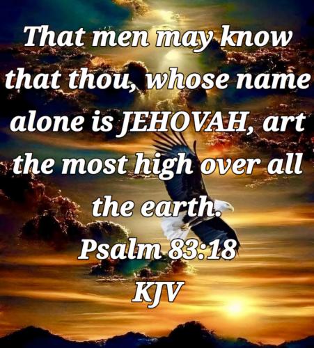 f51770c8-12d9-47cc-9109-c001db43d4aa