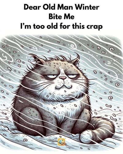 image_37AE9E83-0E0F-4ADB-83CA-991D50276824