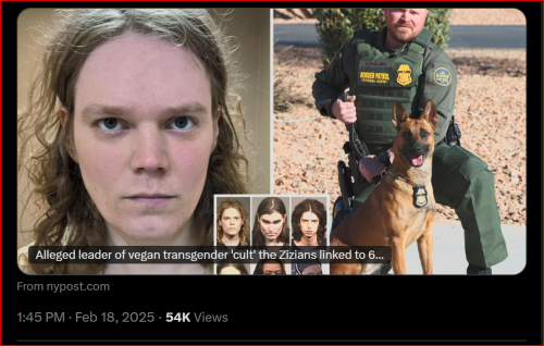 Screenshot 2025-02-18 144802